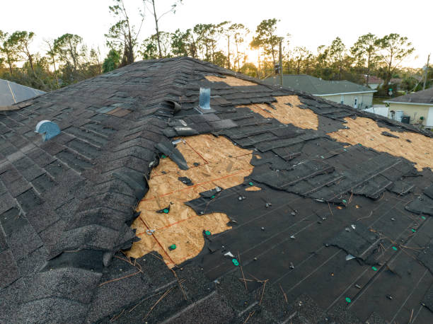 Best Hot Roofs  in Boardman, OR